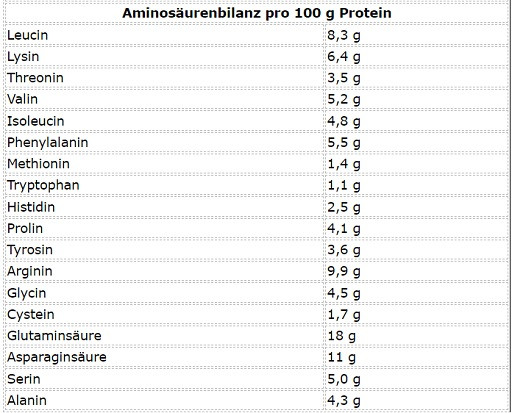 More Nutrition Total Vegan Protein 600g | ROUGHBULL FITNESS