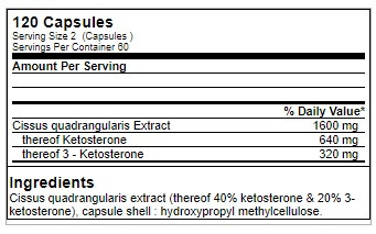 GN Cissus Xplode - 120 caps | ROUGHBULL FITNESS