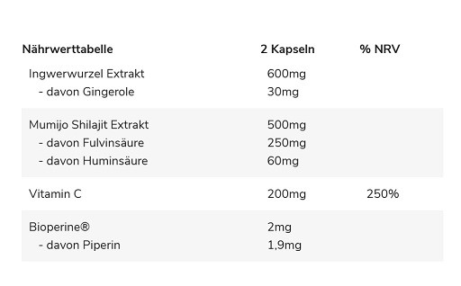 GN Shilajit PRO 60 Kapseln | ROUGHBULL FITNESS