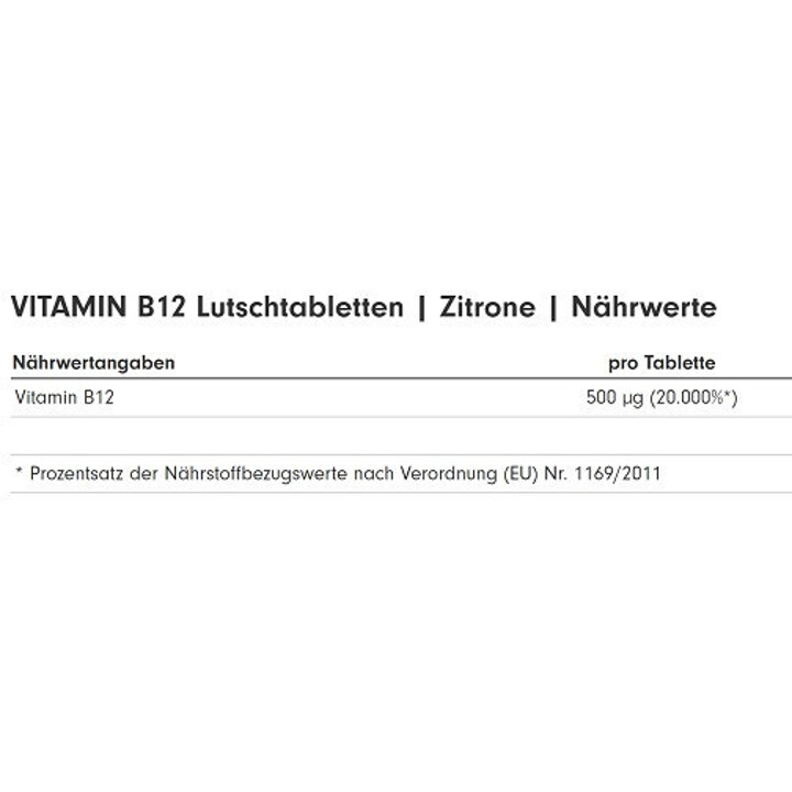 ProFuel Vitamin B12 - 240 Lutschtabletten | ROUGHBULL FITNESS