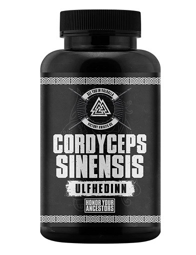 Gods Rage Ulfhedinn Cordyceps Sinesis - 60 Kapseln | ROUGHBULL FITNESS