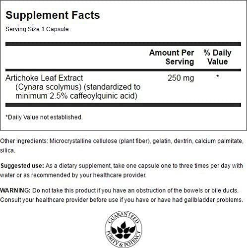 Swanson Artichoke Extract, 60 Kapsel | ROUGHBULL FITNESS