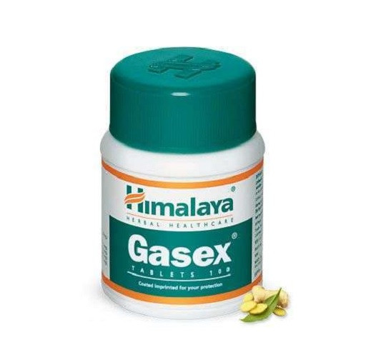 Himalaya Gasex 100 Tabletten | ROUGHBULL FITNESS