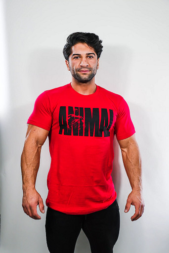 Universal Animal T-Shirt "Iconic" red S | ROUGHBULL FITNESS