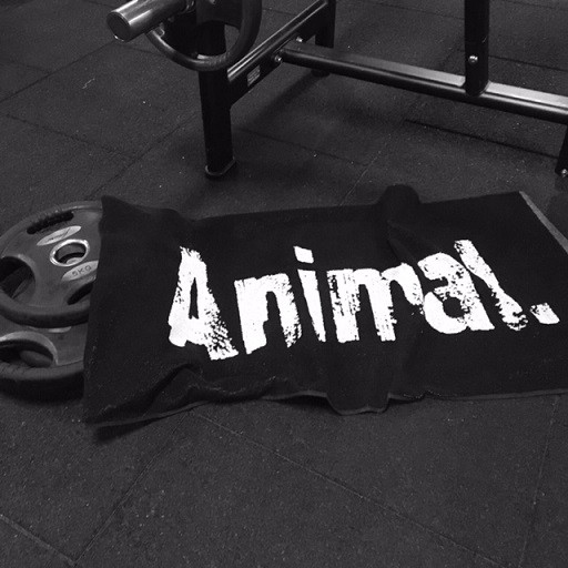 Universal Animal Gym Towel Schwarz 50 x 100 cm | ROUGHBULL FITNESS