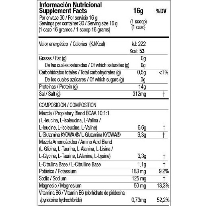 Zoomad Caretaker BCAA (480 gr) | ROUGHBULL FITNESS