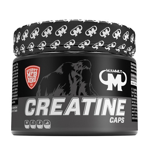 Mammut Creatine Caps - 240 Stück/Dose | ROUGHBULL FITNESS