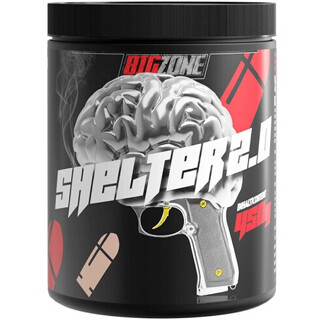 Big Zone Shelter 2.0 450g