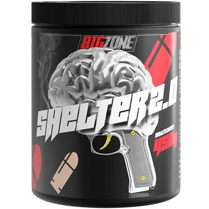 Big Zone Shelter 2.0 450g