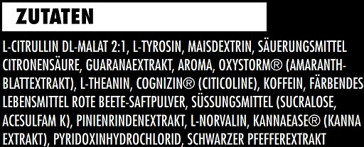 Big Zone Shelter 2.0 450g Red Berrys | ROUGHBULL FITNESS