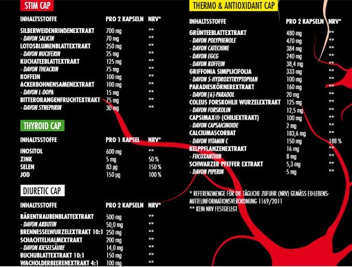 Big Zone Invictus DNP - Max Madsen Signature | ROUGHBULL FITNESS