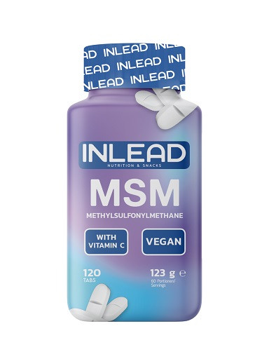 INLEAD MSM + Vitamins 120 Kapseln | ROUGHBULL FITNESS