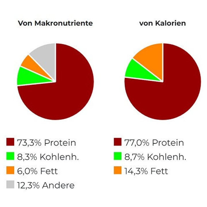 Scitec 100% Whey Protein Professional 1000g Erdbeere | ROUGHBULL FITNESS