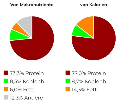 Scitec 100% Whey Protein Professional 1000g Weiße Schokolade | ROUGHBULL FITNESS