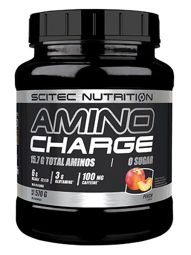 Scitec Amino Charge 570g Blaue Himbeere | ROUGHBULL FITNESS