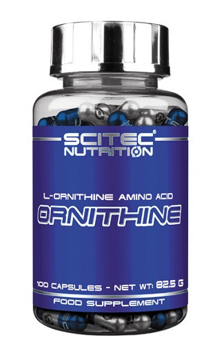 Scitec Ornithine 100 Kapsel | ROUGHBULL FITNESS