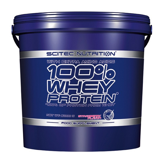 Scitec 100% Whey 5000g Milk Chocolate | ROUGHBULL FITNESS