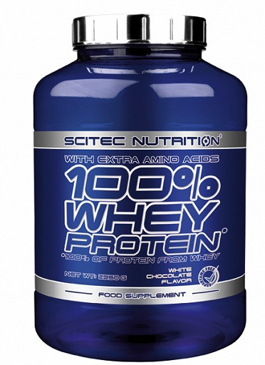 Scitec Whey Protein 2350g  Weiße Schokolade | ROUGHBULL FITNESS