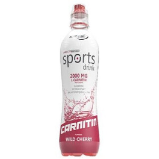 Best Body Sports Drink mit L-Carnitin(12x500ml)