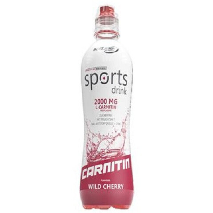 Best Body Sports Drink mit L-Carnitin(12x500ml)