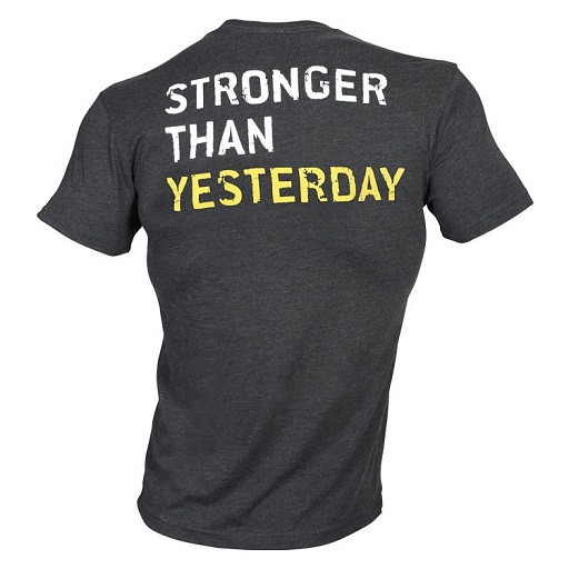 Gold´s Gym Stronger Than Yesterday L | ROUGHBULL FITNESS