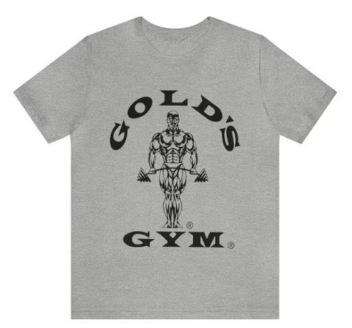 Gold's Gym T-Shirt Joe Promo Tee grau S | ROUGHBULL FITNESS