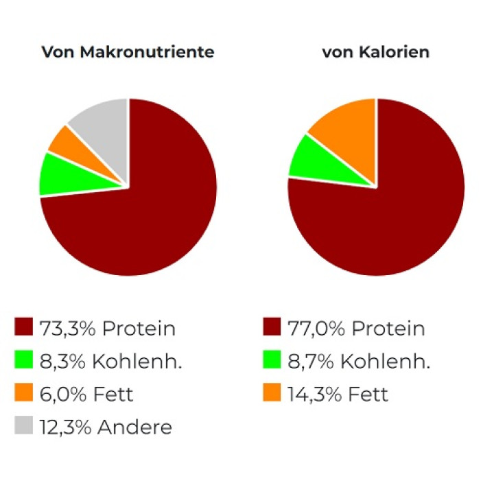Scitec 100% Whey Protein Professional 1000g Schoko Haselnuss