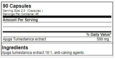 GN Laboratories Turkesteron 90 Kapseln | ROUGHBULL FITNESS