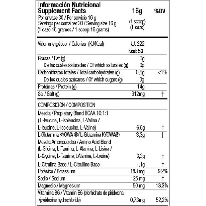 Zoomad Caretaker BCAA (480 gr) Cool Lemon