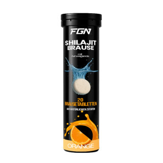 FGN Shilajit 20 Brausetabletten