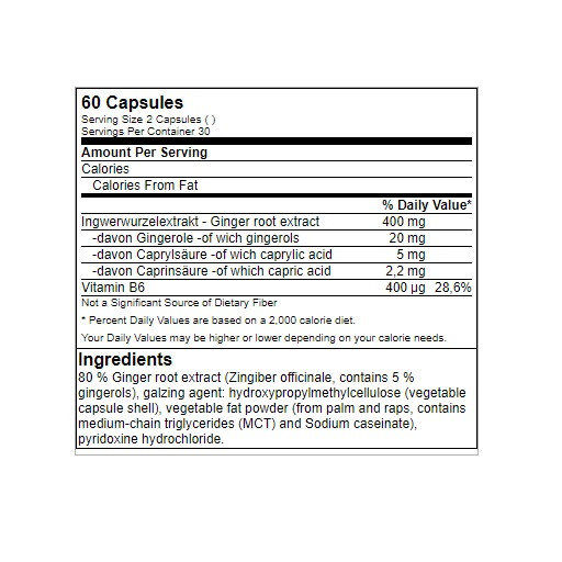 GN Ginger Extract Health Line 60 Kapsel | ROUGHBULL FITNESS