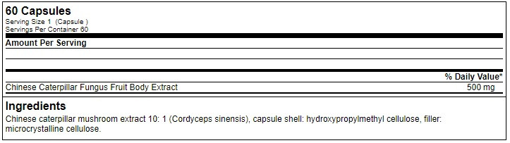 Gods Rage Ulfhedinn Cordyceps Sinesis - 60 Kapseln | ROUGHBULL FITNESS