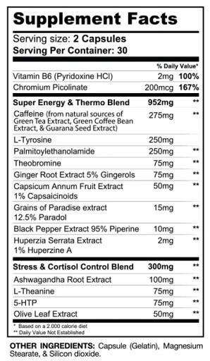 Gaspari Nutrition DTN8 Explosive Fat Burner 60 Caps | ROUGHBULL FITNESS